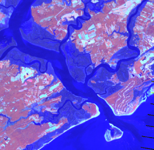 Landsat imagery of Edisto and Charleston at low tide